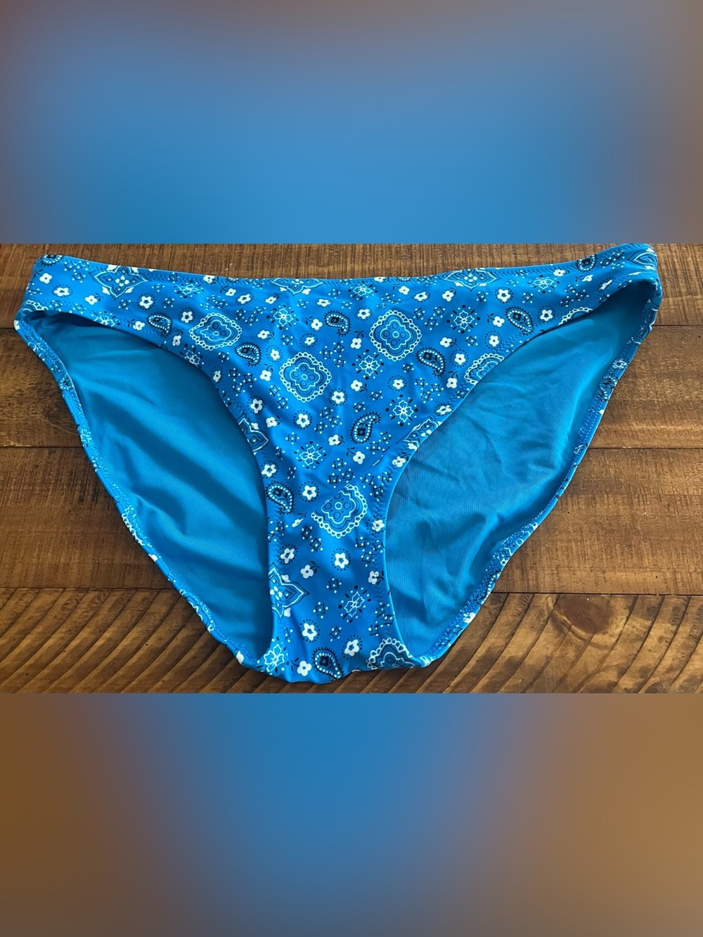 NWT Aerie Full Coverage Bikini Bottom in Blue Paisley - Size L